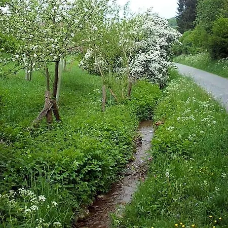 Susewind * Antfeld