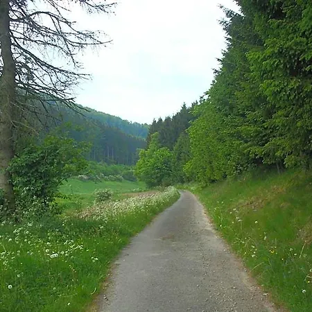 Susewind Antfeld