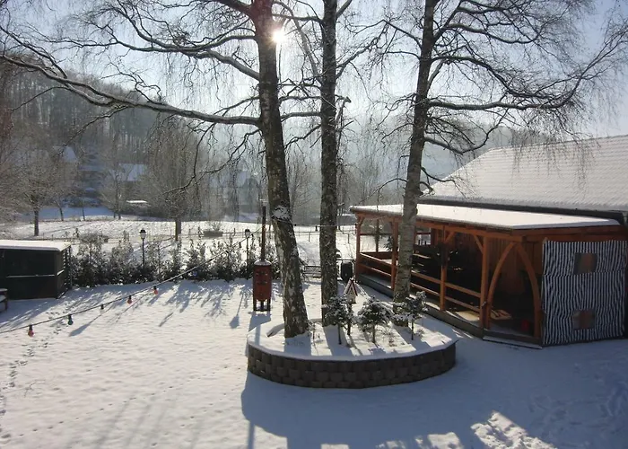 Susewind אורחן *